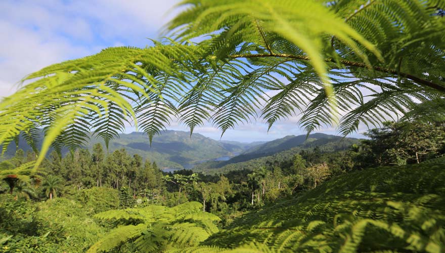 Die wunderschöne Natur von Topes de Collantes auf Kuba