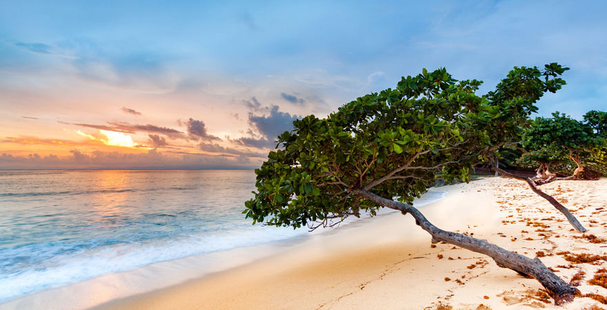 Der Strand auf der Bacardi-Insel ist einfach traumhaft