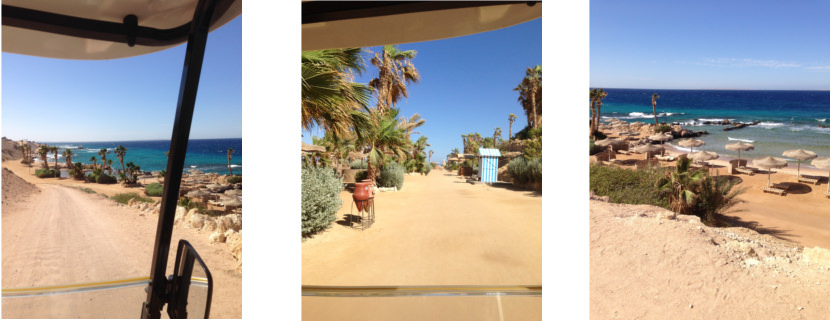 Fahrt zum Strand vor dem Albatros Citadel Resort