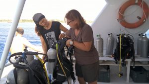 Check - Tauchurlaub Ägypten