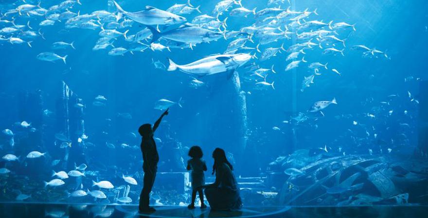 Aquarium Dubai Mall