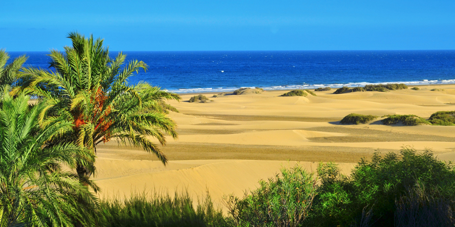 Die Dünen von Maspalomas auf Gran Canaria
