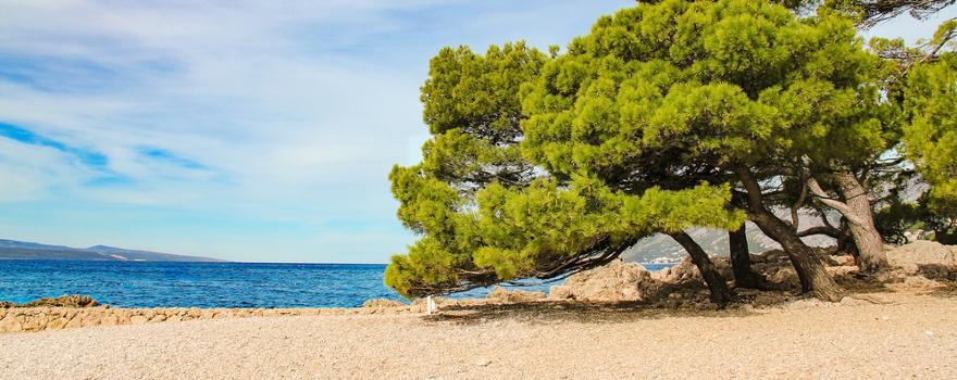 Punta Rate in Kroatien