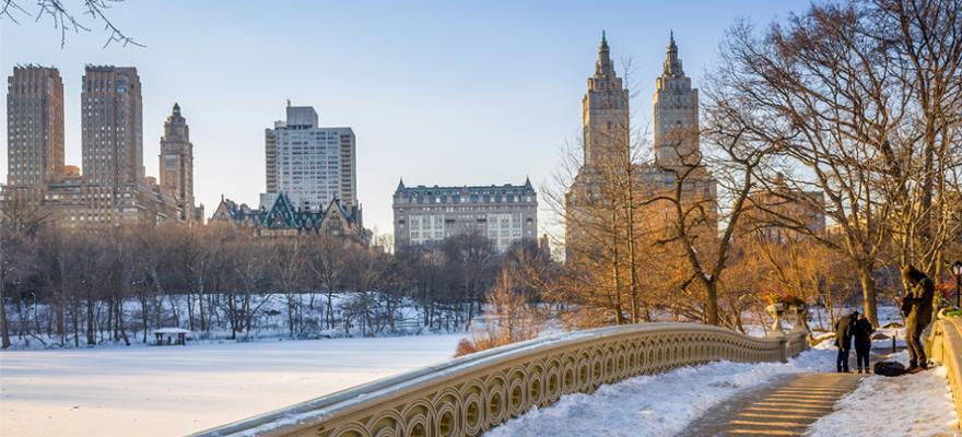 Central Park in New York im Winter