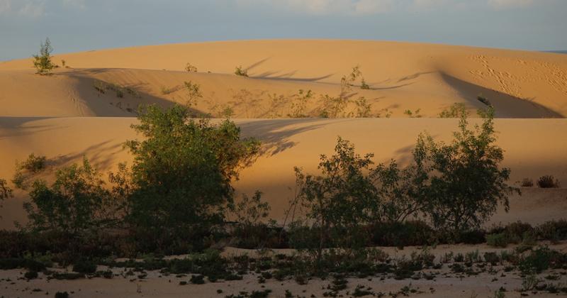 Natural Park Corralejo