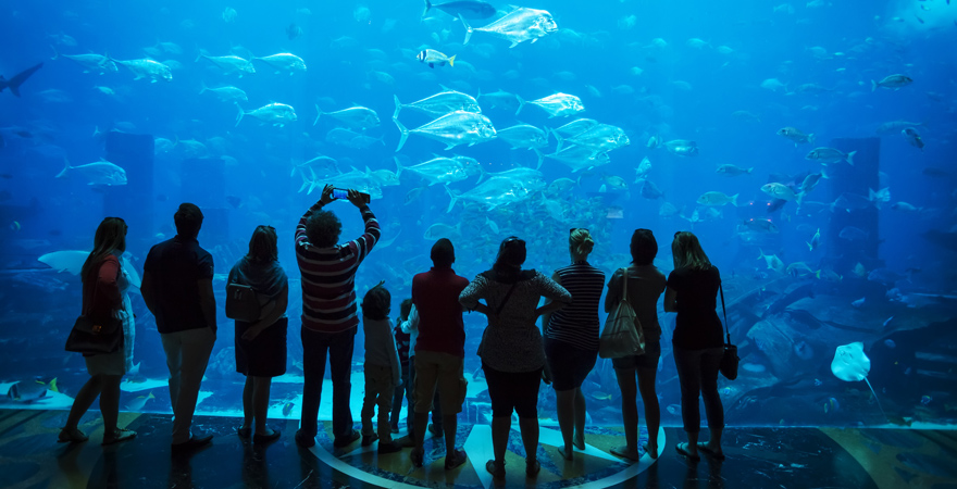 Dubai Aquarium