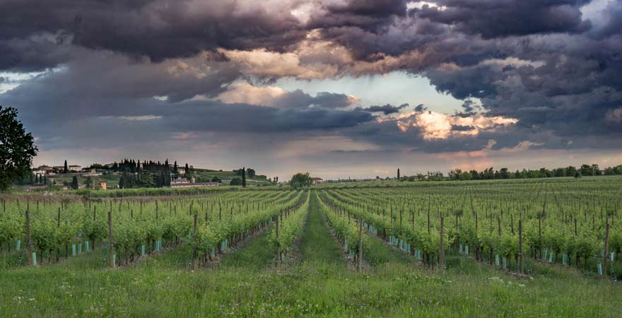 Region Valpolicella, Gardasee