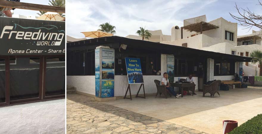 Tauchschule im LABRANDA Tower Bay Sharm el Sheikh