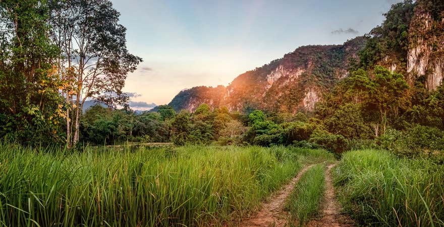 Wandern im Khao Sok Nationalpark