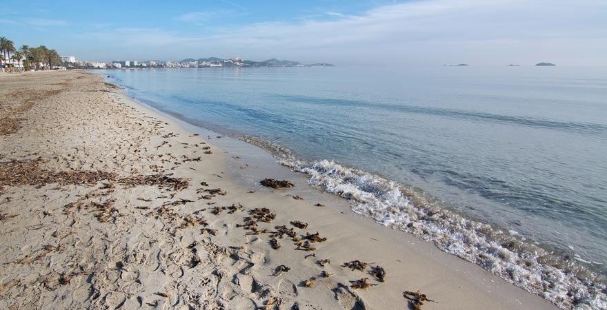 Partyurlauber können sich auf der Platja d'en Bossa auf Ibiza gehörig austoben.