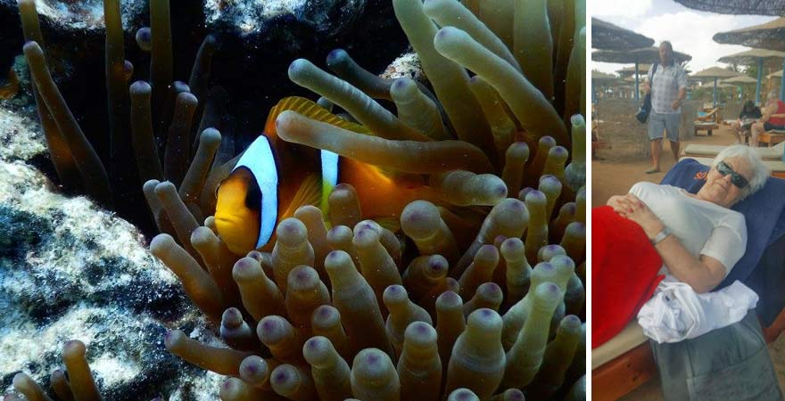 Wassersport für Senioren: In Ägypten bieten sich Tauchen oder Schnorcheln an