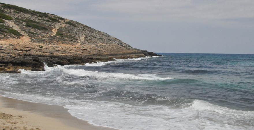 Der Strand von Cala Torta ist komplett naturbelassen
