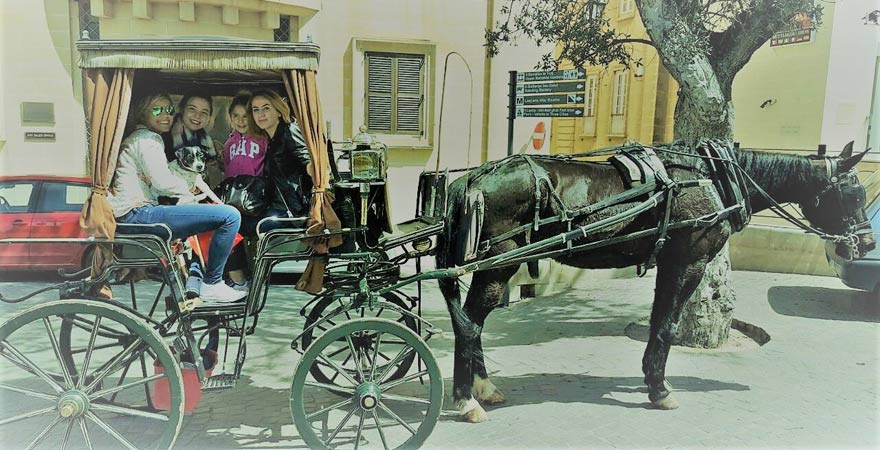 Horse cab Tour in Valletta