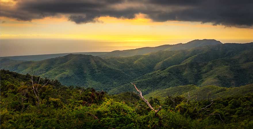 Unser Kuba-Reisetipp: Macht unbedingt einen Nationalpark Topes de Collantes