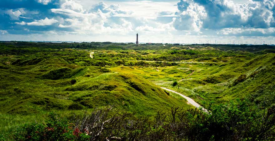 Moorlandschaft auf Norderney