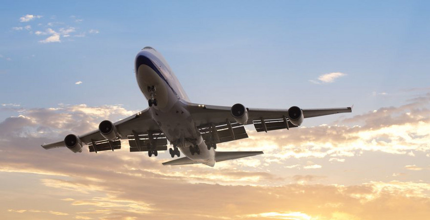 Schwanzflug Bedeutung