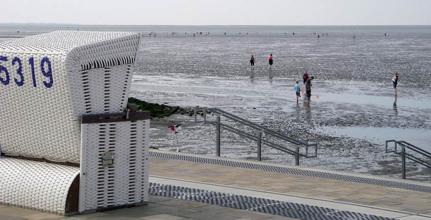 Eine Wattwanderung gehört zu den Reisetipps für die Nordsee