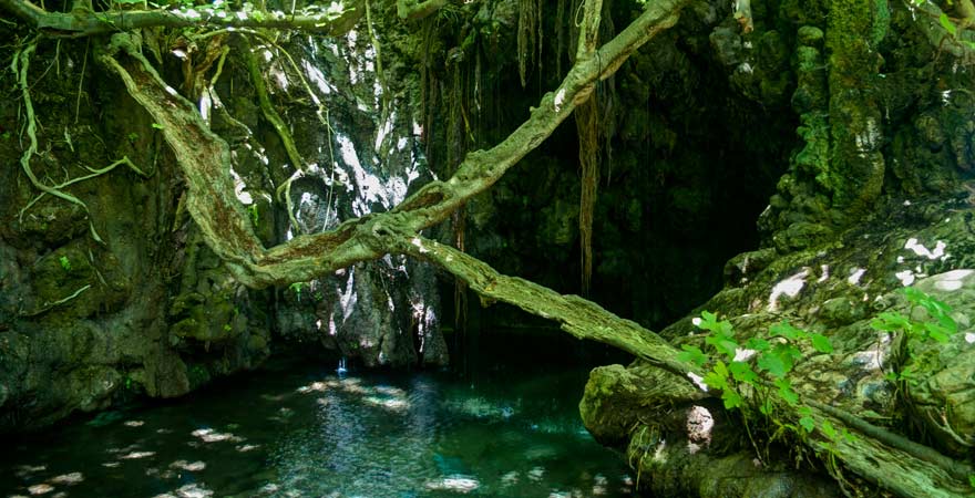 Ein Reisetipp für Entdecker: Das "Bad der Aphrodite" auf Akamas, Zypern