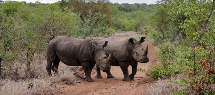 Rundreise durch Südafrika