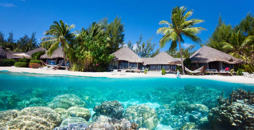 Korallen vor dem Bora-Bora-Atoll, Malediven