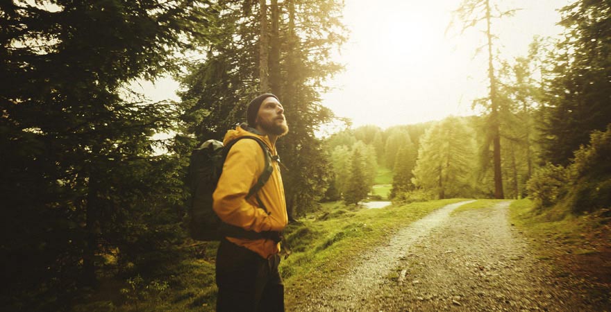 Eine Waldwanderung ist gut im Rahmen einer Kneippkur