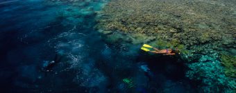 Schnorcheln im Roten Meer