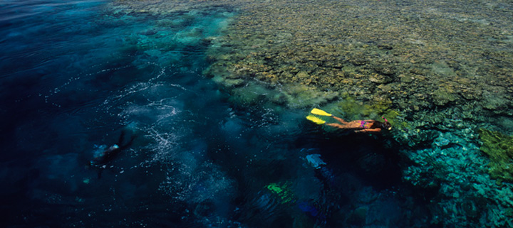 Schnorcheln im Roten Meer