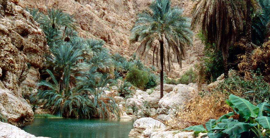 Wadi im Oman