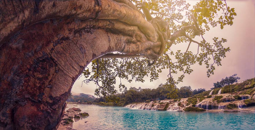 Wadi Darbaat in Salalah