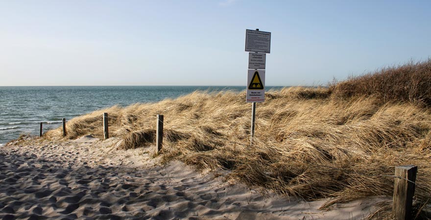 Die Vorpommersche Boddenlandschaft ist ein schönes Ausflugziel für jeden Ostsee-Urlauber
