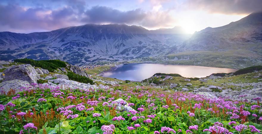 Retezat Nationalpark, Rumänien