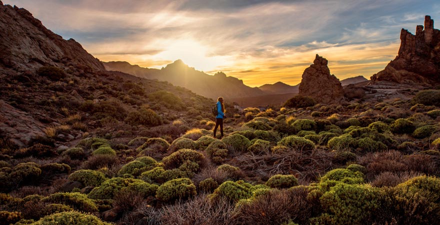 Teide Nationalpark, Teneriffa