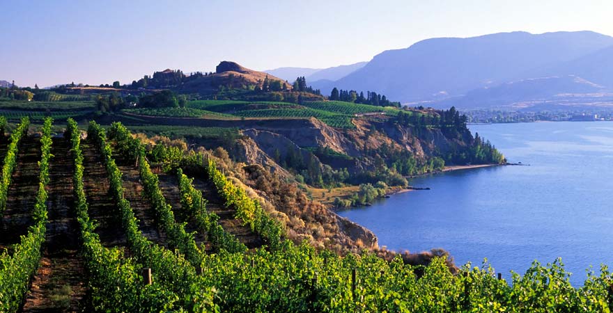 Landschaft vom Okanagan Valley