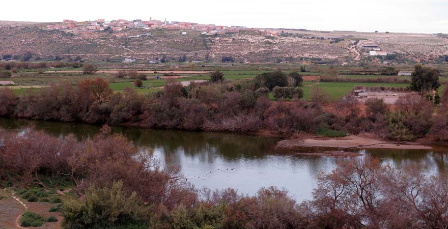 Sous Massa Nationalpark in Marokko