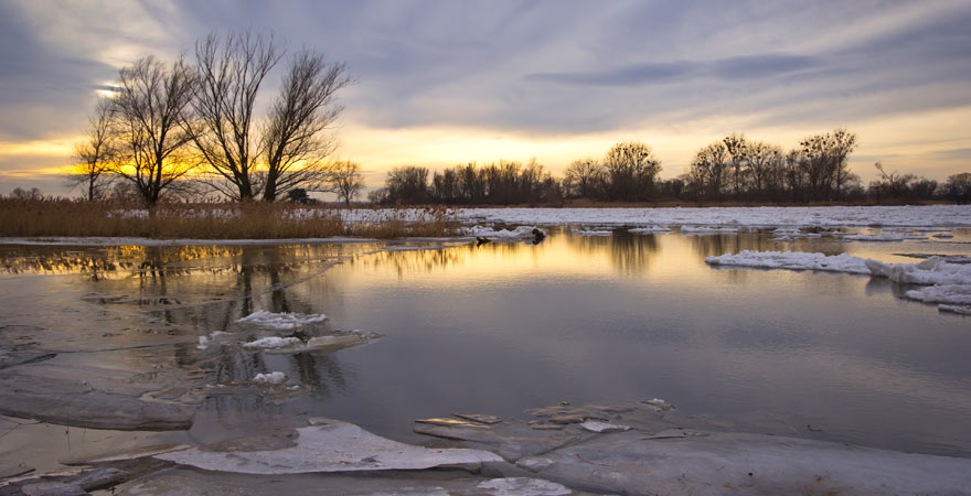 Überflutete Bereiche im Nationalpark Unteres Odertal