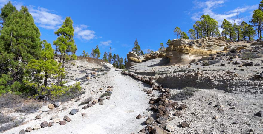 Wanderweg PR-TF 72 in der Nähe von Vilaflor auf Teneriffa