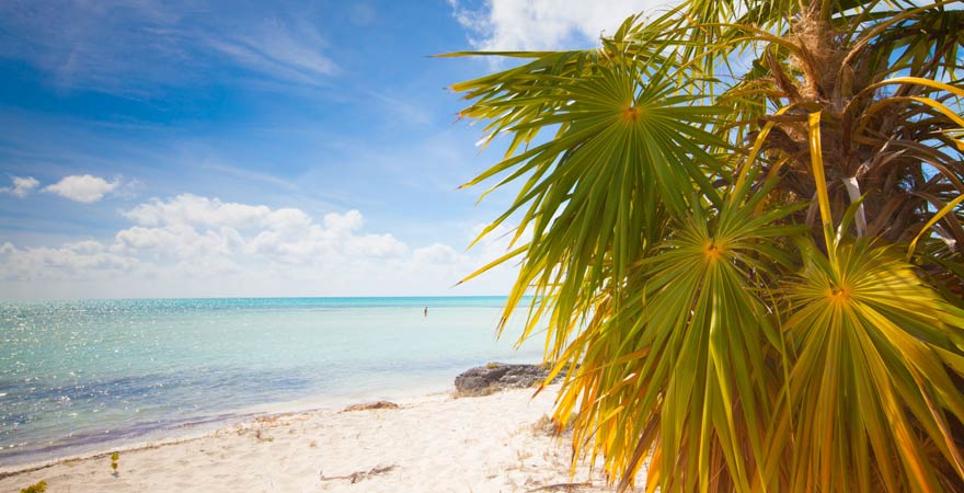 Auf Cayo Largo del Sur findet ihr echte kubanische Traumstände