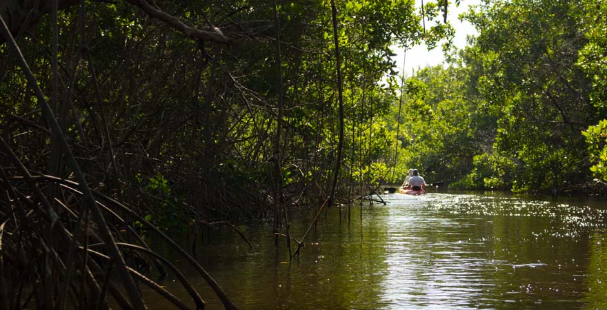Eine Kayaktour auf dem Gambia River zählt zu den Highlight-Ausflügen