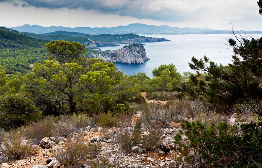 Landschaft auf Ibiza