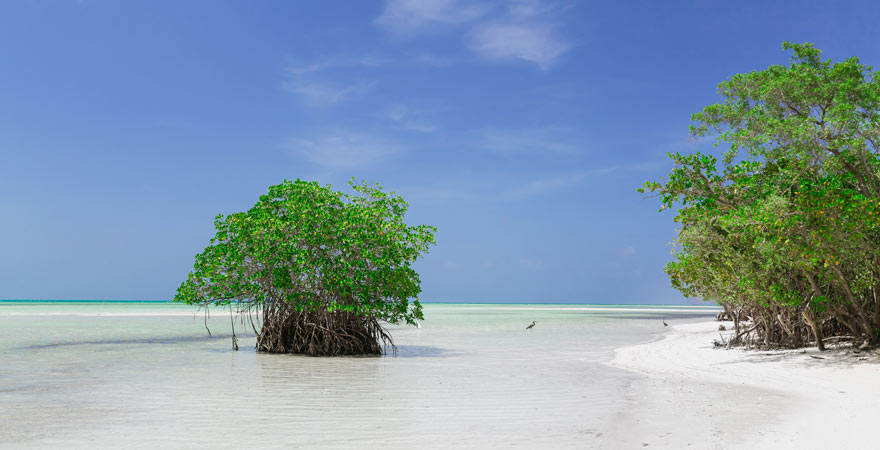 Die Playa Cayo Coco ist einer der Top-Strände auf Kube