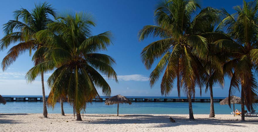Am Playa Giron genießt ihr Kubas intakte Natur in vollen Zügen
