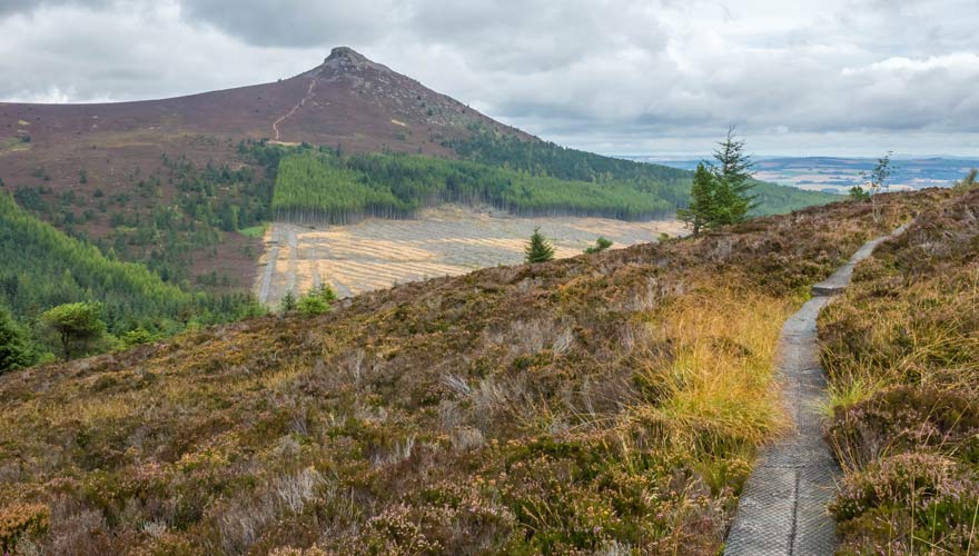 Es gibt eine Wanderung in Schottland, die zum Granitgipfel Mither Tap führt