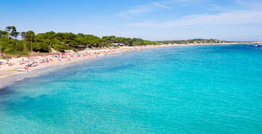 Der Platja de Ses Salines ist ein schöner und weitläufiger Strand auf Ibiza