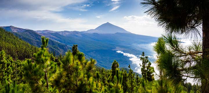 Reisebericht Teneriffa Wandern