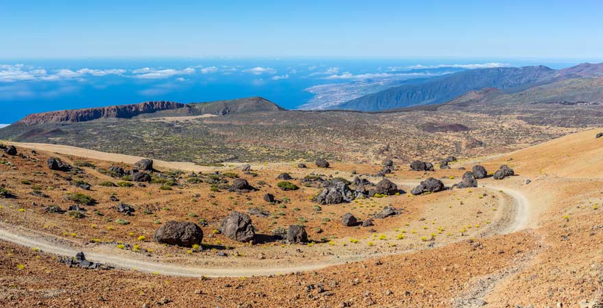 Teide-Eier begegnen euch beim Wandern auf den Pico del Teide auf Teneriffa
