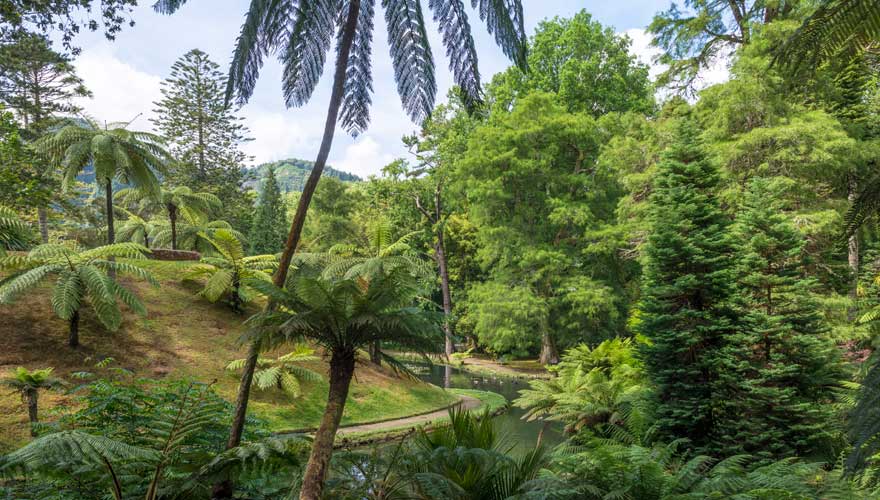 Terra Nostra Park auf den Azoren