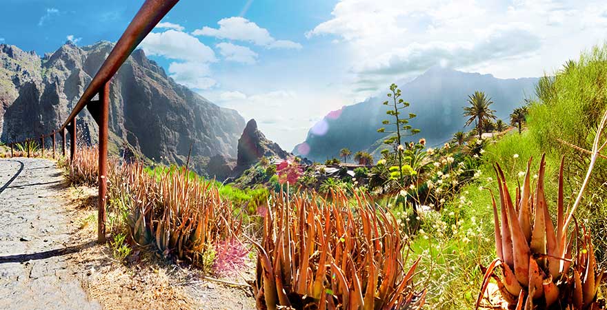 Masca-Schlucht auf der Kanareninsel Teneriffa in Spanien