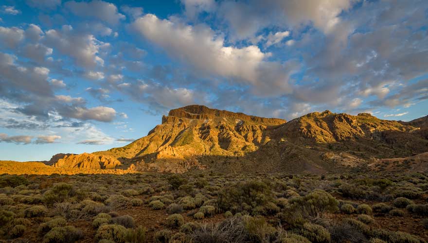 Guajaara im Teide Nationalpark auf Teneriffa