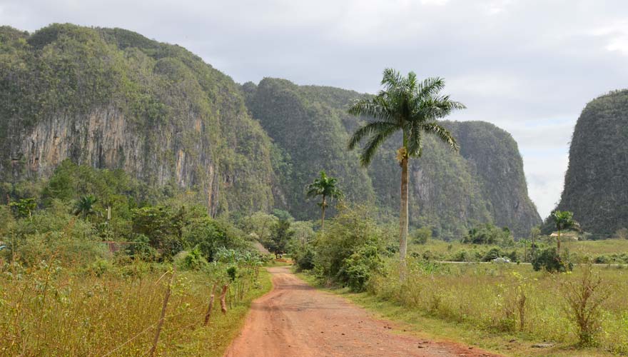 Vinales gehört zu den Tipps für eine Kuba-Rundreise, da die Region bekannt für ihren Tabakanbau ist
