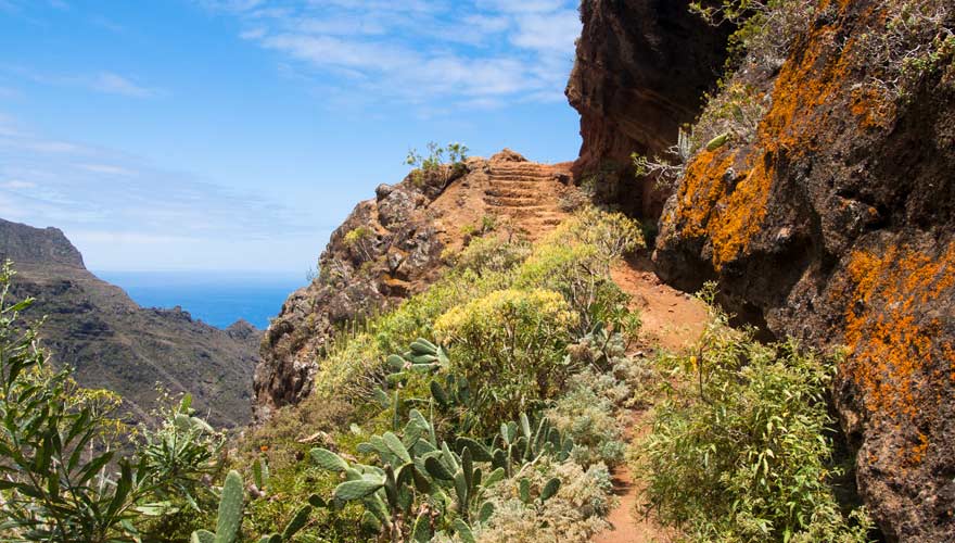 Wanderweg von Punta del Hidalgo auf Teneriffa